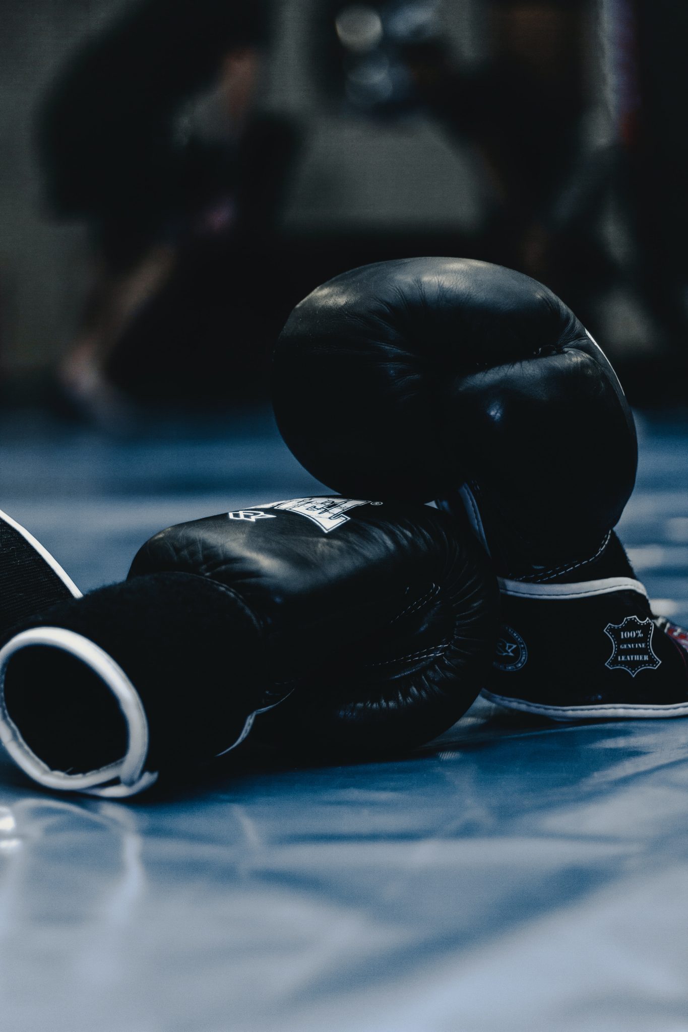Boxing gloves